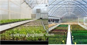 mallas de protección para cultivos