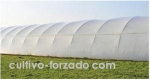 cultivo protegido