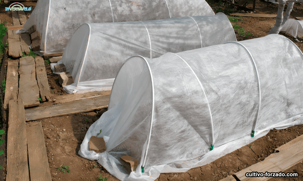 La aplicación de manta térmica para la construcción de invernaderos -  Cultivo Forzado